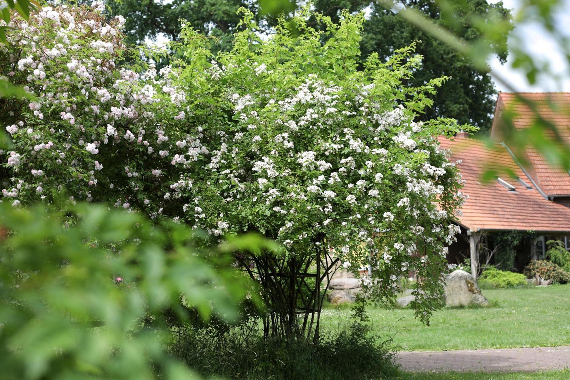 Hotel Sophienhof Achternholt Wardenburg Zewnętrze zdjęcie